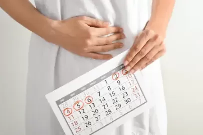 Menstrual Cycle Explained