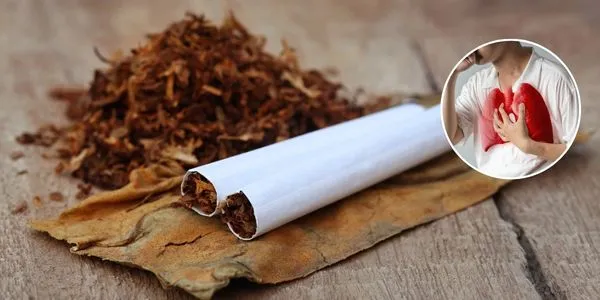 Tobacco and Cancer: Causes, Symptoms, and the Importance of Timely Treatment