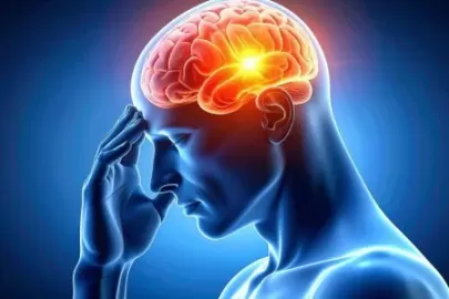 Brain Tumors and Genetics: Are They Caused by Hereditary Factors?